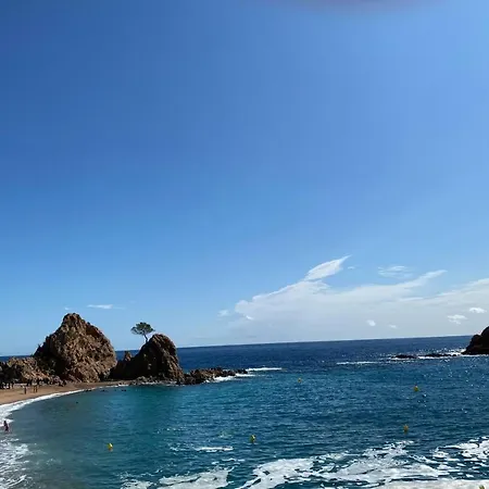 Mana Mana Youth Hostel *