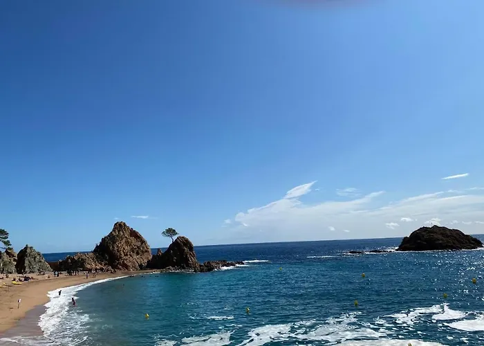 Mana Mana Youth Vandrarhem *