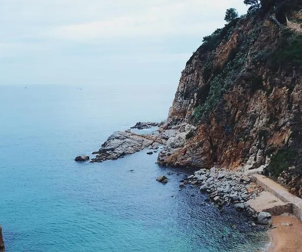 Vandrarhem Mana Mana Youth