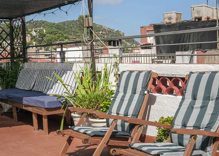 Vandrarhem Mana Mana Youth